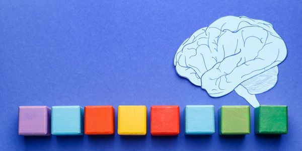 Como as cores influenciam as decisões de compra no seu site